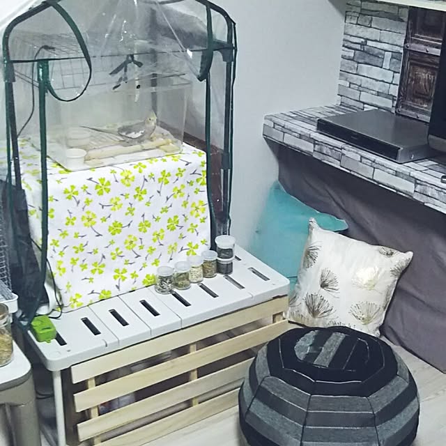 chiyoさんの実例写真
