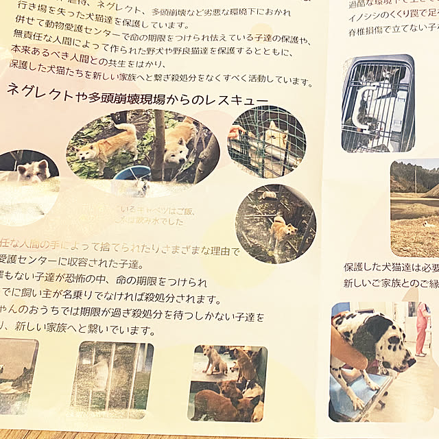 ohanaさんの部屋