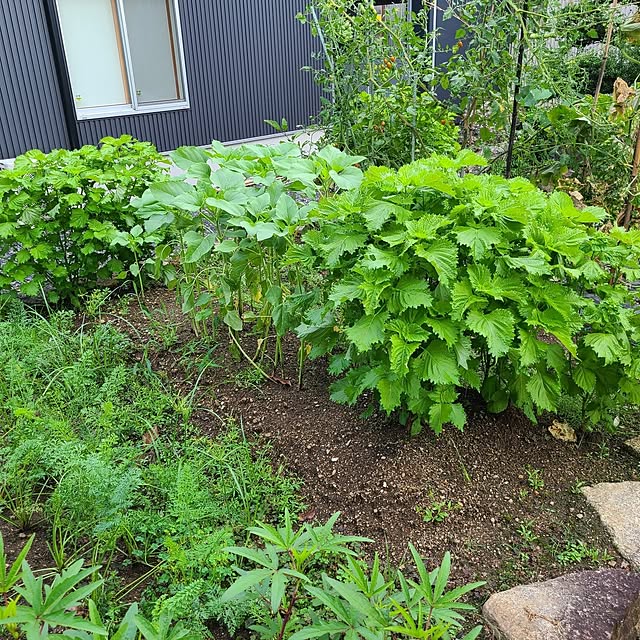 Rubiconさんの部屋