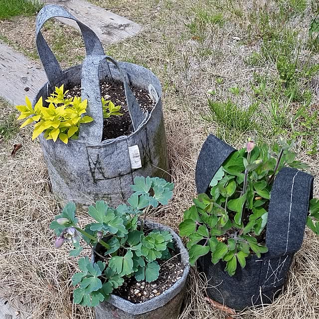 t.yumiさんの実例写真