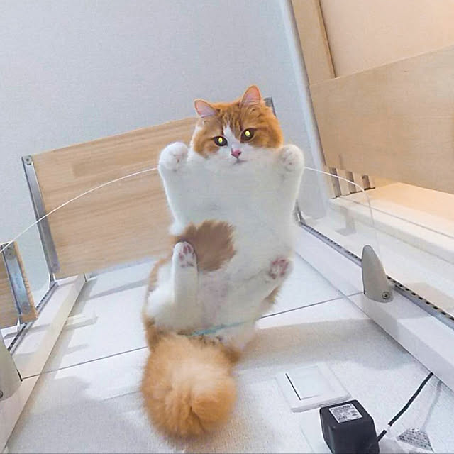 H.Tさんの実例写真