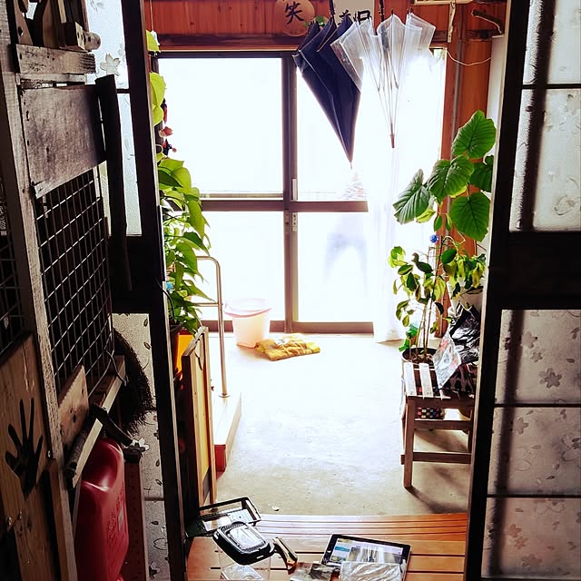 kikuさんの実例写真