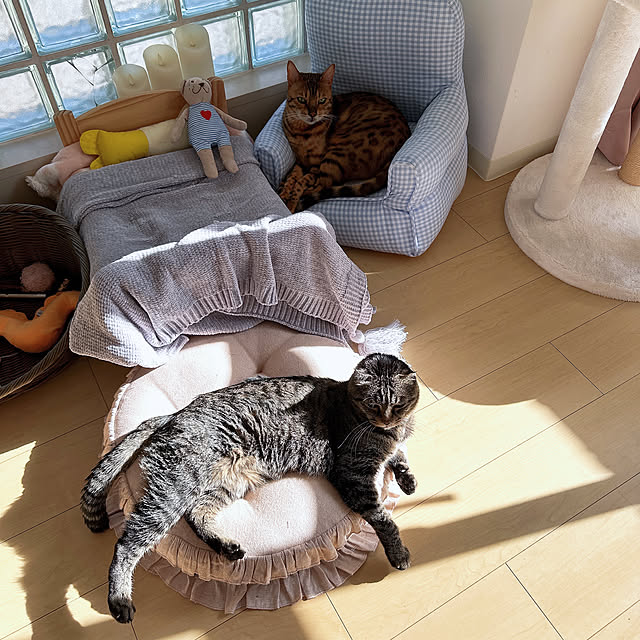 nene6さんの部屋