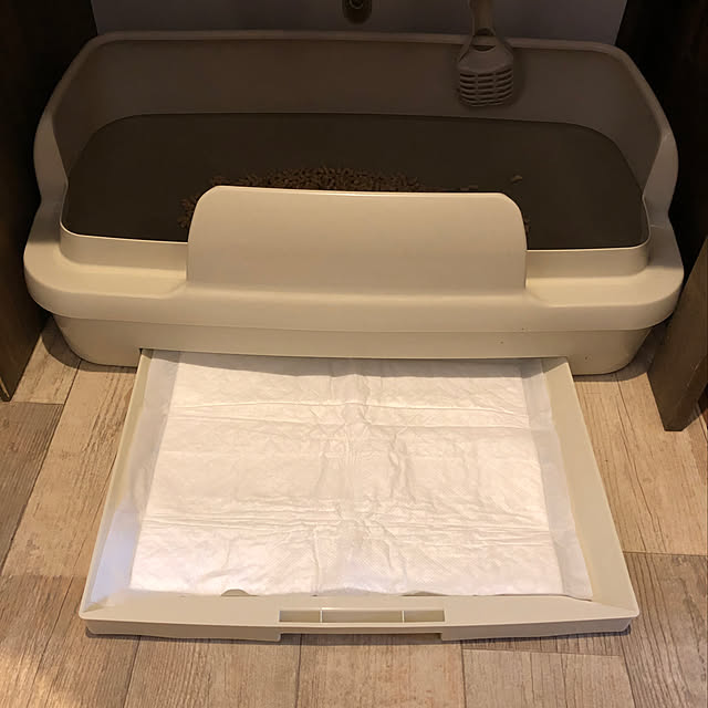 shiratamaさんの実例写真