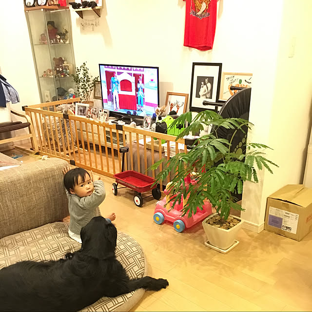 ShibuyaSumiyoさんの実例写真