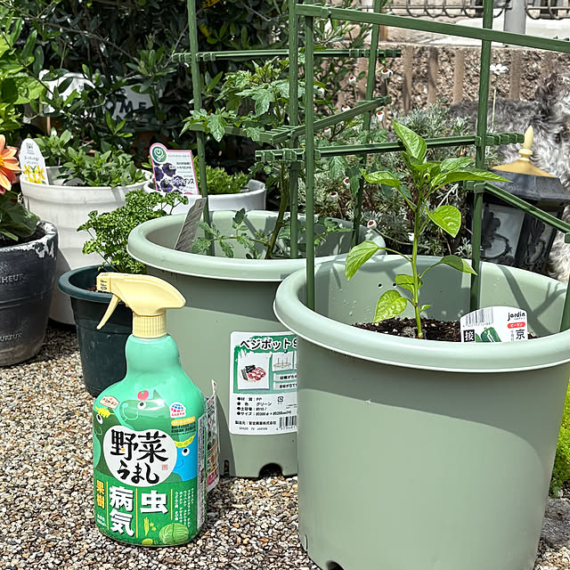 alchoさんの実例写真