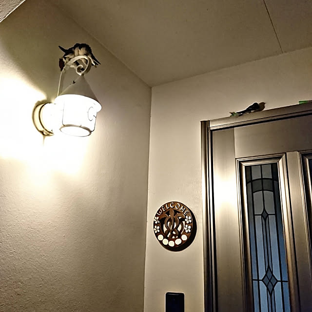 wizさんの実例写真