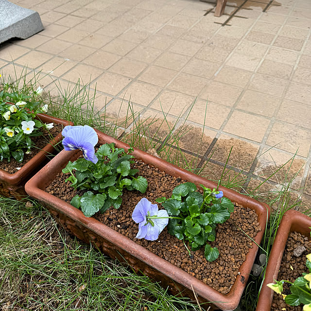 okyosan101さんの部屋