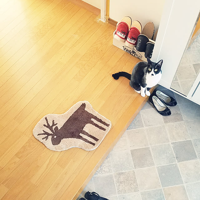 Kinanさんの実例写真