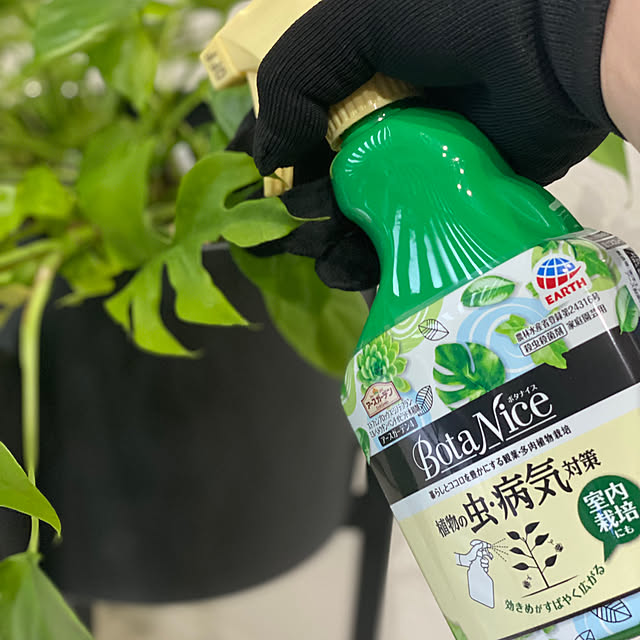 Lime..さんの部屋