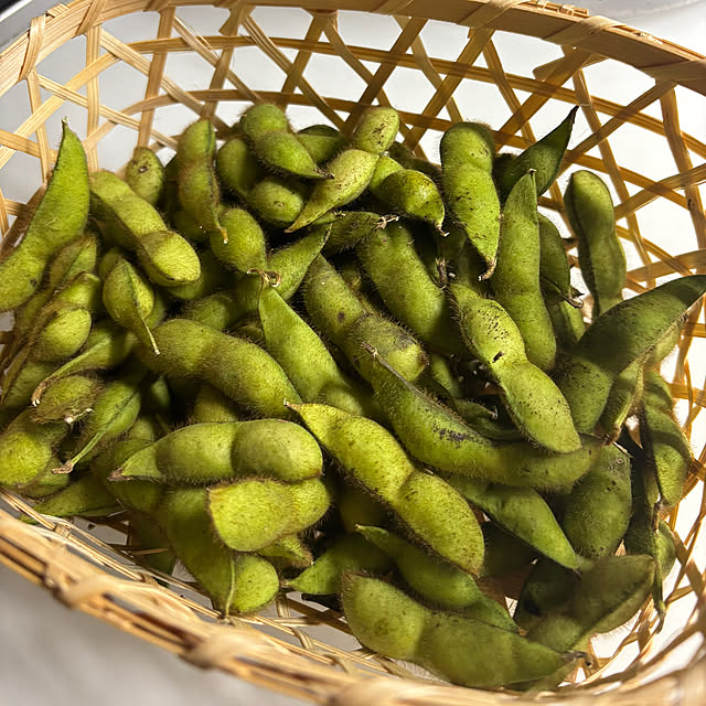 syutmmさんの部屋