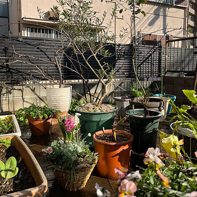 botanさんの実例写真