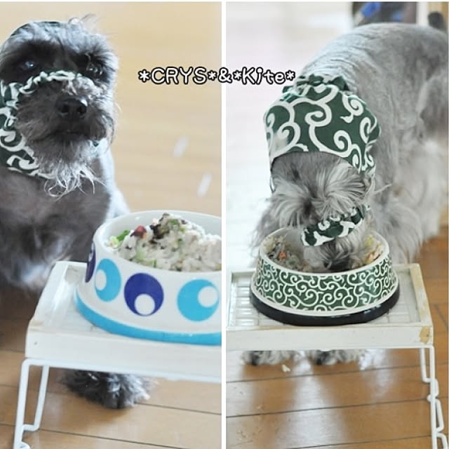 satobonmamaさんの実例写真