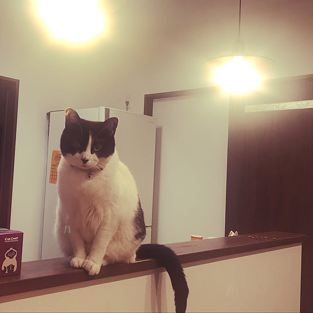 komomoさんの実例写真