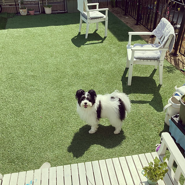 mimicoさんの実例写真