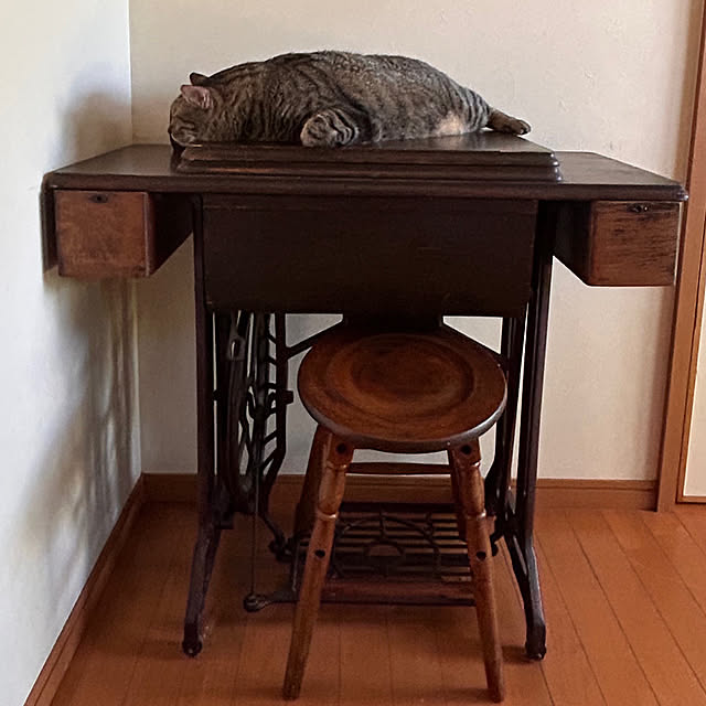 mikan161さんの実例写真