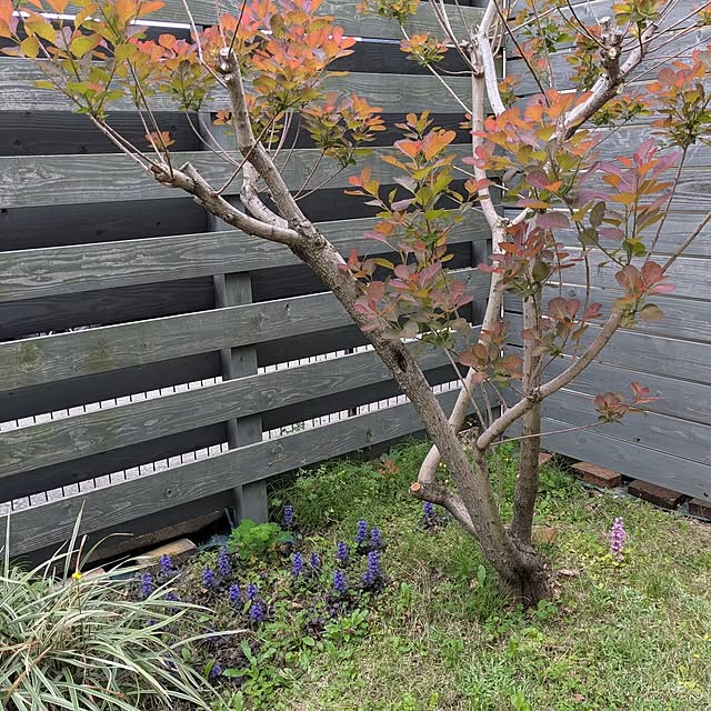 Ruii25さんの実例写真