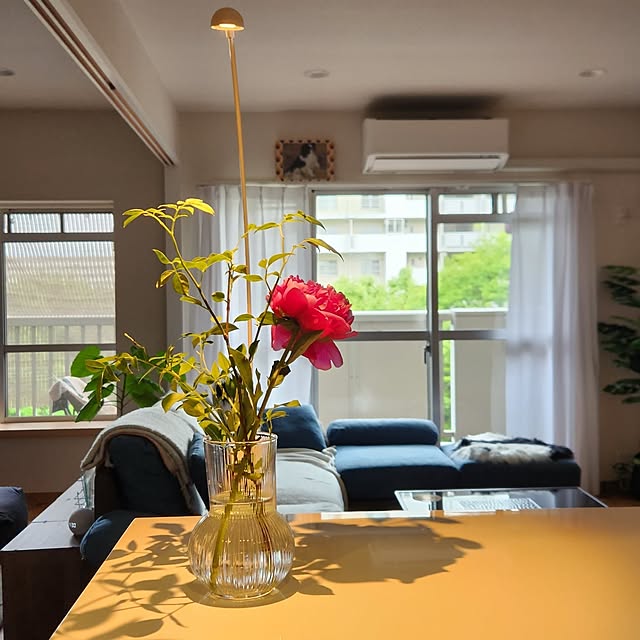 sanoaさんの実例写真