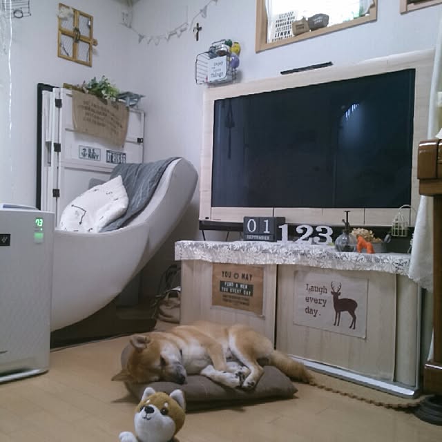 kotaさんの実例写真