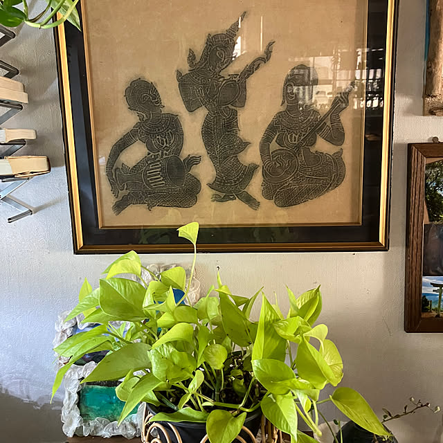 ganchan_0910さんの部屋