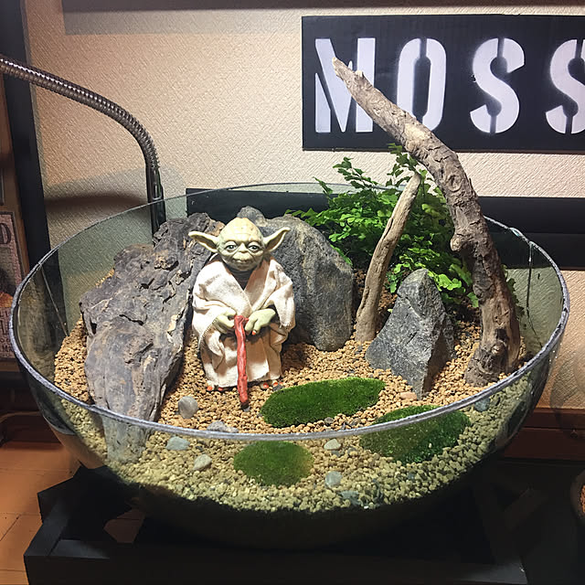 実例写真