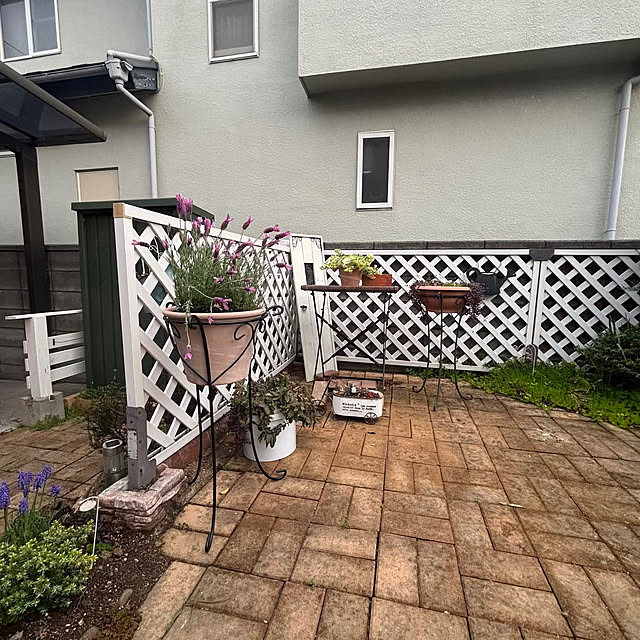 momocchiさんの部屋