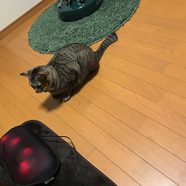 mikan161さんの実例写真