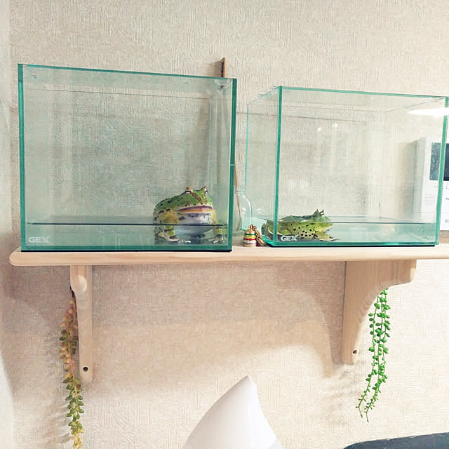Samさんの実例写真