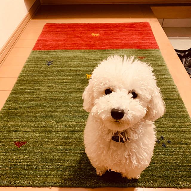 BUNさんの実例写真