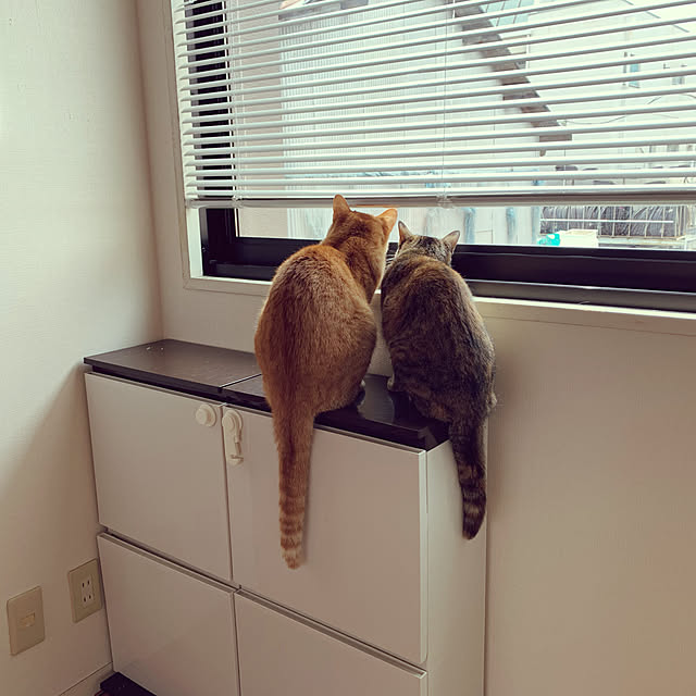 kukuさんの実例写真