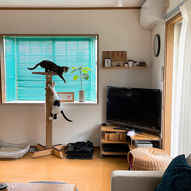 nobikoさんの実例写真