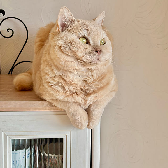 naokoさんの部屋