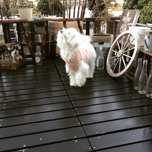 happy_bridgeさんの実例写真