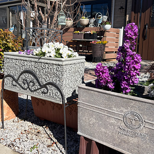 ronronさんの部屋