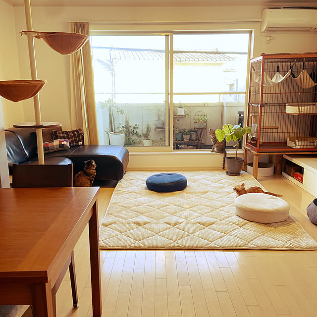 gachaさんの部屋