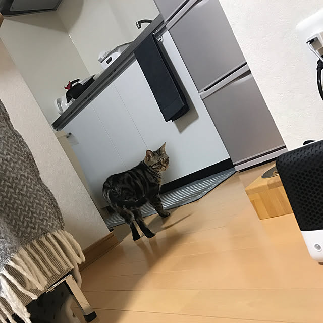 キッチンのインテリア実例 - 2019-01-24 21:36:53