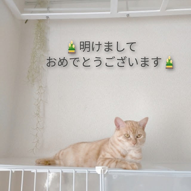 heart.emiemi57.whiteさんの実例写真