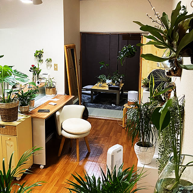 植物のある暮らし/観葉植物/ナチュラル/雑貨/一人暮らし...などのインテリア実例 - 2021-04-08 01:18:34