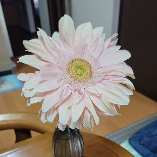 chaChachaさんの実例写真