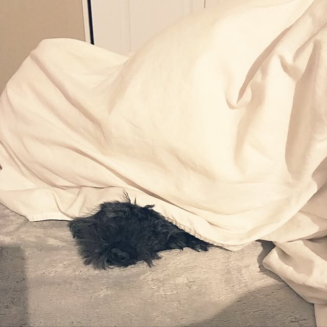 chiiさんの実例写真