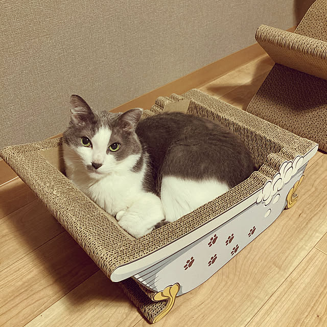 ichikoさんの実例写真