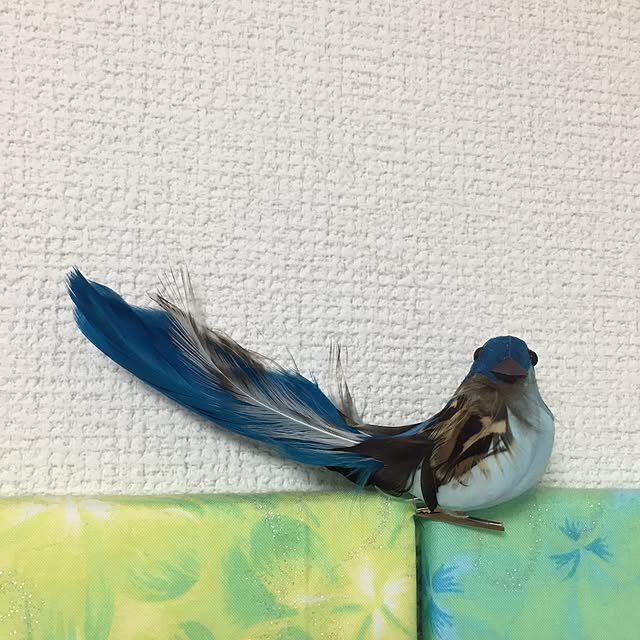 suenoさんの実例写真
