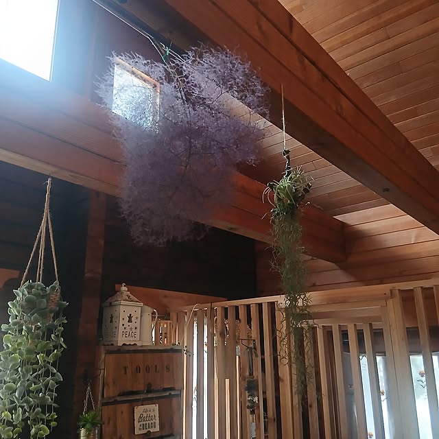 murasaki808さんの実例写真