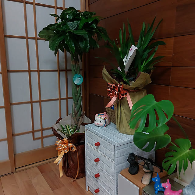 sanaさんの実例写真