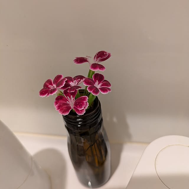 minnieさんの部屋