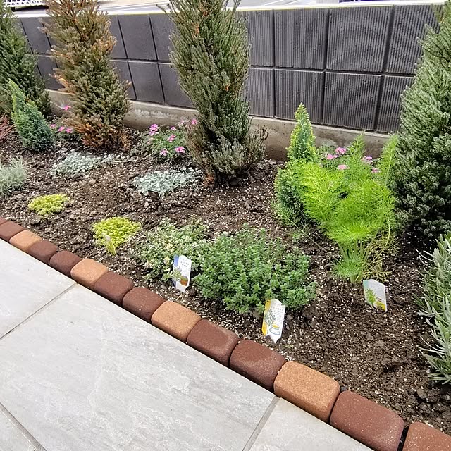 ayan-green.さんの実例写真