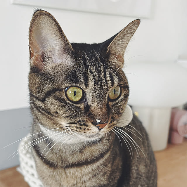 oliveさんの部屋