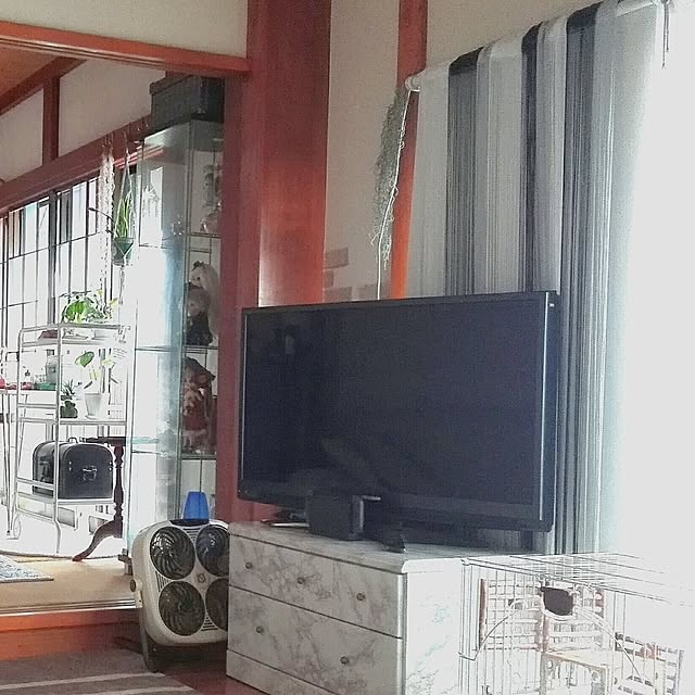 usako.usaさんの部屋