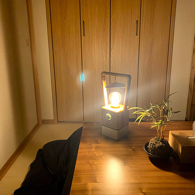 実例写真