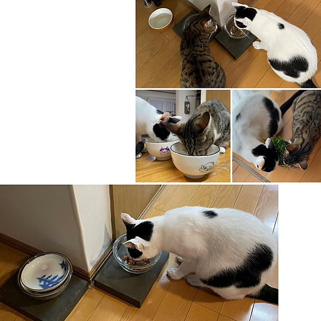 nobikoさんの実例写真